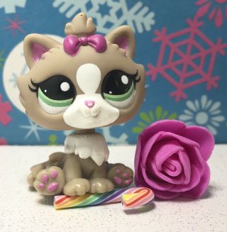 Authentic Littlest Pet Shop 2640 Brown White Himalayan Cat Kitten Pink Bow