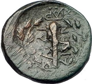 Sardes In Lydia 133bc Apollo Club Wreath Authentic Ancient Greek Coin I61195