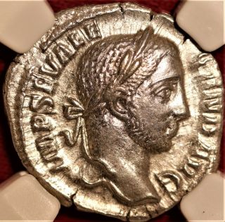 E - Coins Australia Severus Alexander Ar Denarius Ngc Au Roman Coin Virtus