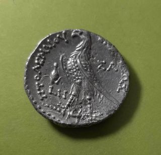 Ptolemy AR Tetradrachm / Eagle 2
