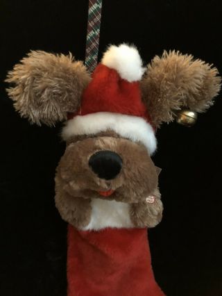 Dan Dee Animated Singing Dog Christmas Stocking Musical Moving Flapping Ears 2