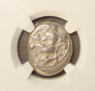 440 - 400 Bc Cilicia,  Soloi Amazon / Grapes Ancient Greek Silver Stater Ngc F