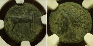 Ancient Carthage Zeugitana Ae16 400 - 350 Bc Ngc Vf Horse And Palm