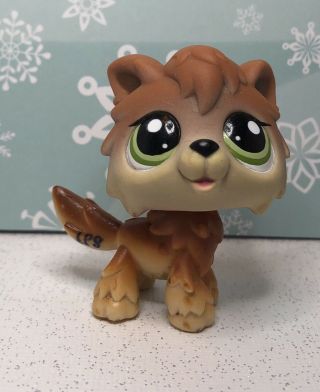 Littlest Pet Shop Authentic 2141 Brown Tan Timber Wolf Green Eyes