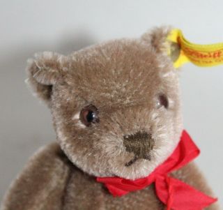 Vintage Steiff Miniature Teddy Bear Jointed 0202/14 Mohair Button & Tags