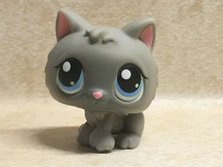 Littlest Pet Shop Lps 66 Kitty Cat Kitten Gray With Blue Eyes