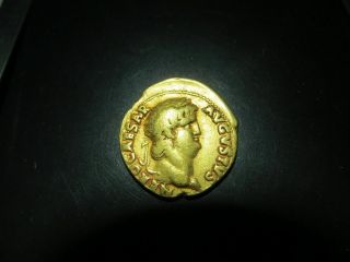 Nero Gold Aureus 7.  04 Gm,  20mm,  Concordia Rev - Sear Certificate Of Authenticity