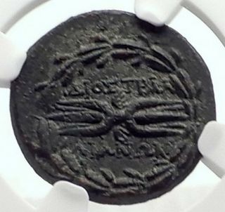 Tralleis In Lydia Authentic Ancient Greek Coin W Zeus Thunderbolt Ngc I72101