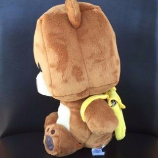 FISHER PRICE SMART TOY BEAR BROWN TEDDY PLUSH INTERACTIVE PHONE APP USB LEARNING 3