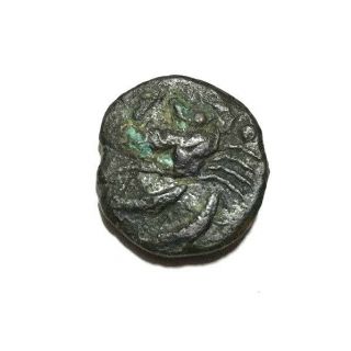 Ancient Greek,  Sicily Akragas Hexas,  425 - 406 Bc.  Crab Dolphins,  Eagle