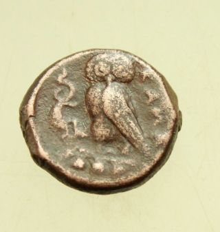 Sicily,  Kamarina C.  420 - 410 Bc.  Æ 16mm Head Of Athena / Owl Grasping Lizard