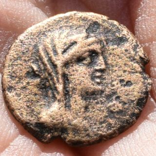Authentic Bronze Ancient Greek Coin - Menainon,  Sicily,  3rd Century Bc