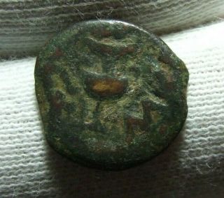 Judaea Revolt,  The Jewish War Vine Leaf Prutah Bronze Rare Coin