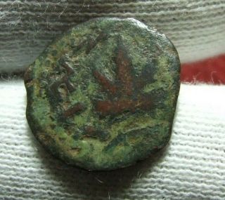 Judaea Revolt,  The Jewish War Vine leaf Prutah Bronze Rare coin 2