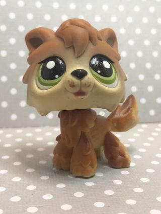 Littlest Pet Shop Authentic 2141 Brown Tan Timber Wolf Green Eyes Blemished