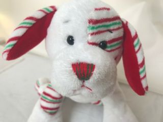 Webkinz Peppermint Puppy Dog HM467 No code Cond White Green Red 2