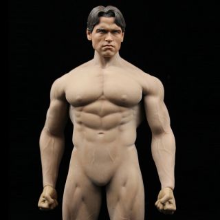 1/6 Phicen Pl2016 - M34 Arnold Schwarzenegger Action Figure Body With Head Sculpt