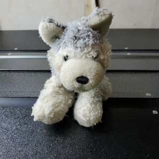 Ganz Webkinz Husky Plush Dog Stuffed Animal No Code