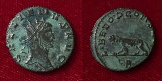 Roman Empire Gallienus Antoninianus Rome 267 - 268 Ad Zoological Series Panther