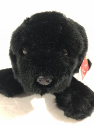 Aurora Black Lab Labrador Retriever Plush Stuffed Animal Puppy Dog Toy 12” Cole