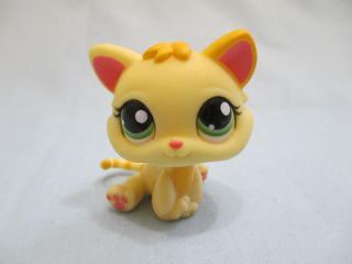 Littlest Pet Shop Cat Kitten Rare Yellow Orange 1649 Authentic Lps Exclusive