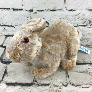 Kids Of America Corp Bunny Rabbit Plush Tan Shaggy Natural Posed Cottontail Toy
