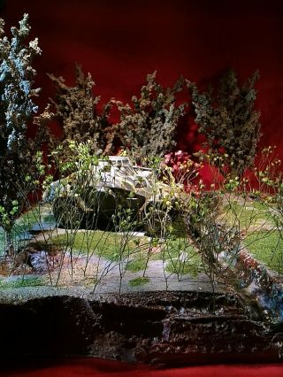 1/32 Custom Made Diorama Display For Force 