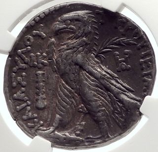 TYRE SHEKEL Ancient BIBLICAL Silver Jewish Temple Tax Greek Coin NGC i69562 2