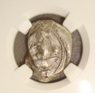 440 - 400 Bc Cilicia,  Soloi Ancient Greek Amazon / Grapes Silver Stater Ngc Vf