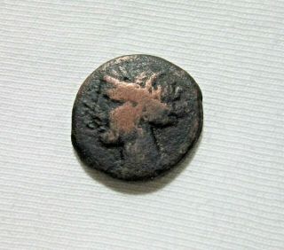 Zeugitania,  Carthage.  Ae 20,  C.  300 - 264 Bc.  Tanit/ Head Of Horse.