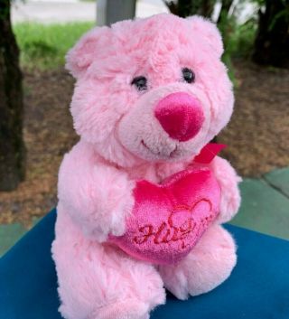 Rare Vintage Walmart Pink Hug Me Heart Teddy Bear Lovey Plush Stuffed Animal Toy
