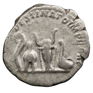 Roman: Caracalla,  As Caesar,  Ar Denarius (3.  22g),  Rome,  Ad 196 - 198,  Reverse Litu