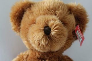 RUSS Exclusive RITZ CAMERA w/Tag TEDDY BEAR Stuffed Animal PLUSH Toy 18 