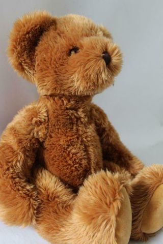 RUSS Exclusive RITZ CAMERA w/Tag TEDDY BEAR Stuffed Animal PLUSH Toy 18 