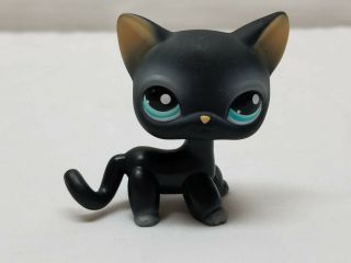 Littlest Pet Shop 336 Black Short Hair Cat Blue Dot Eyes Lps Toy Kitty Kitten