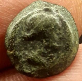 Cleopatra Vii Of Egypt Philopater Ptolemaic Paphos Cyprus Cornucopia Coin