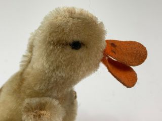 Vintage Steiff Mohair Duckling W/ Orange Feet & Beak