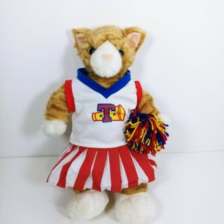 Dandee Grumpy Cat Plush Cheerleader Pom Pom Letter " T " Buttery Soft Tiger Cat