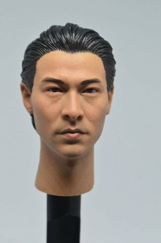 1/6 Scale Andy Lau Head Sculpt Lau Tak Wah Headplay Fit 12 " Body Figure