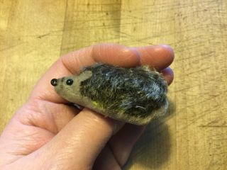 Vintage " Joggi " Tiniest Miniature Hedgehog Made In Germany No Id’s