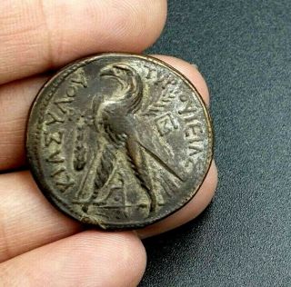 Ptolemaic King Egypt Ptolemy X Alexander I Cleopatra Berenike Bird 101 Bc.  Coin