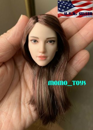 Superduck 1/6 Female Head Sculpt Brown Hair C For Pale Tbleague 12 " Figure❶usa❶