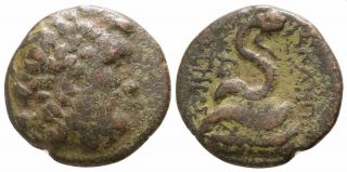 Mysia,  Pergamon,  Asklepios,  Serpent,  Snake 6,  11g 19mm