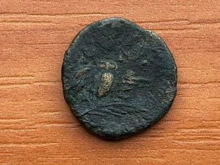Pergamon,  Mysia 200 Bc Ae17 " Athena & Owl " Ancient Greek Bronze Coin