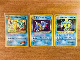 【near Mint】lot 3 Dark Gyarados Pokemon Card Holo Japan Old Back