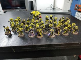Imperial Fist Army Warhammer 40k 40,  000 Primaris Marines Limited Edition Painted