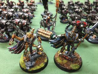 OOP All Metal Necron 40k Army.  Pro Painted And Based.  Truly One Of A Kind 2