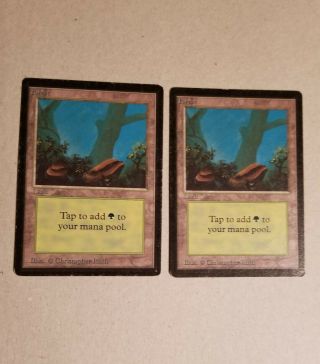 Beta Forest (a) X2 Magic The Gathering Cards