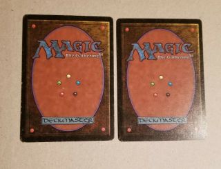 BETA Forest (A) X2 Magic the Gathering Cards 2