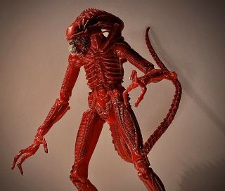 NECA 7 inch Big Red Predator and Red Alien Xenomorph from short film (Out of Box) 2